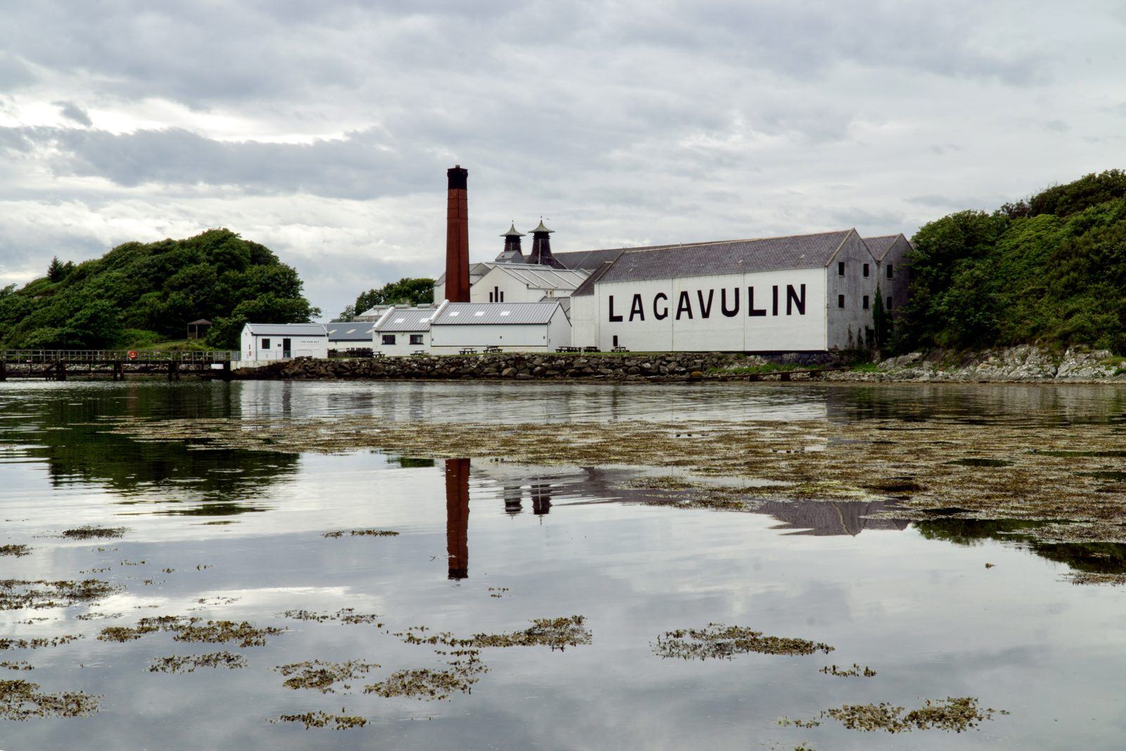Lagavulin distillery's whitewashed buildings and tall chimney reflected in a calm, seaweed-strewn bay